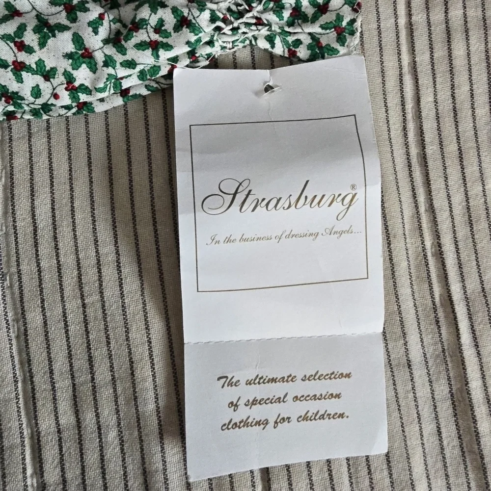 NWT Strasburg Smocked Long Sleeve 3 Month Baby Dress Christmas Holly Berry